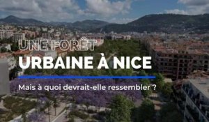 On vous dit tout sur le projet de forêt urbaine à Nice