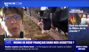 Est-ce que la filière de bœuf français est menacée? BFMTV répond à vos questions