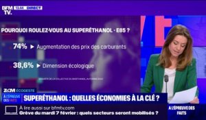 LE ZOOM ÉCOGESTE - Le superéthanol est-il plus économique et plus respectueux de la planète ?