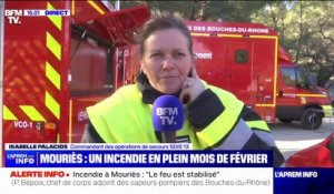Incendie à Mouriès: "Le feu est fixé, après avoir parcouru 130 hectares", annonce le commandant Isabelle Palacios du SDIS 13