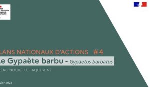 Plans Nationaux d'Actions #4 - Le Gypaète barbu (Gypaetus barbatus)