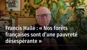 Francis Hallé : « Nos forêts françaises sont d’une pauvreté désespérante »