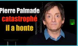 Affaire Pierre Palmade, il demande pardon, l’artiste assumera les conséquences de ses actes