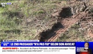 Le passager avant de Pierre Palmade "n'a pas compris ce qu'il s'était passé" lors de l'accident, affirme son avocat, Me Olivier Ang