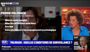 Les conditions de surveillance de Pierre Palmade dans le service d'addictologie de l'hôpital Paul Brousse, à Villejuif