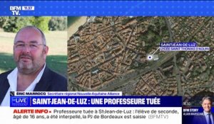Enseignante poignardée à Saint-Jean-de-Luz: le lycéen a été interpellé