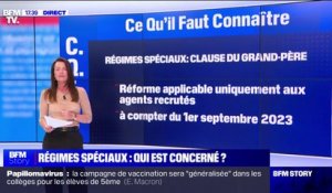 Quels sont les régimes spéciaux visés par la réforme des retraites?