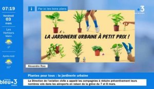 Plantes pour tous : une vente de plantes à prix mini tout le week-end sur Nantes !