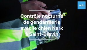 Un contrôle antidrogue avec le chien de la gendarmerie Nark, à Saint-Brevin-les-Pins