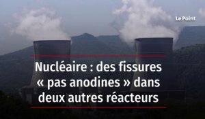 Nucléaire : des fissures « pas anodines » dans deux autres réacteurs