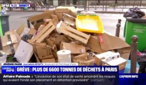 La préfecture de police de Paris demande à la Mairie de ramasser les ordures sur le parcours de la manifestation prévue ce mercredi