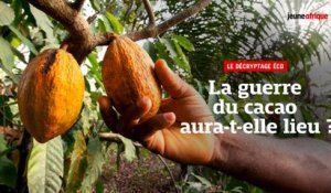 Guerre du cacao : la Côte d'Ivoire et le Ghana face aux multinationales du chocolat