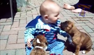Funny babies annoying dogs - Cute dog & baby compilation