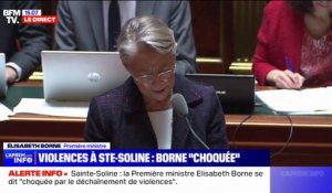 Élisabeth Borne: "J'ai été profondément choquée par le déchainement de violence à Sainte-Soline"