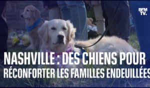 Fusillade à Nashville : Des chiens pour réconforter les familles endeuillées