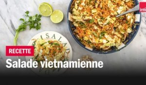 Salade vietnamienne - Les recettes de François-Régis Gaudry