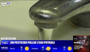 Un tiers de l'eau potable en France contaminée par des résidus du pesticide chlorothalonil