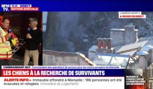 Immeuble effondré à Marseille: pour l'instant, les deux chiens engagés sur la zone sinistrée n'ont "pas marqué" la présence de personnes sous les décombres, affirme le commandant Guy