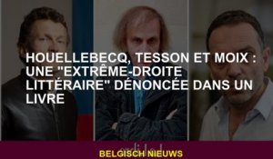 Houellebecq, Tesson et Moix : une "extrême-droite littéraire" dénoncée dans un livre