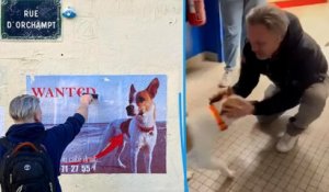 « On a enfin  Bayou » : plus d’un mois après le vol, Nicolas a retrouvé son chien