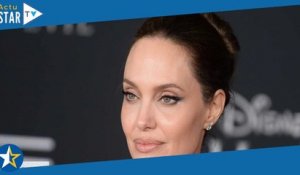 Angelina Jolie “très froide” : un ex-ministre ministre balance sur l’actrice