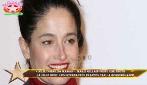« Jolie comme sa maman » : Marie Gillain poste une photo  sa fille Dune, les internautes frappés par