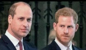 Il est peu probable que le prince Harry répare sa relation avec William car le « gouffre » entre eux