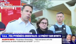 Incendie dans les Pyrénées-Orientales: 750 hectares ont été parcourus par le feu qui n'est "pas fixé", annonce le préfet