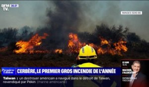Pyrénées-Orientales: le premier gros incendie de l'année a parcouru plus de 930 hectares autour de Cerbère
