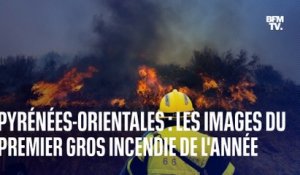 Pyrénées-Orientales: les images du premier gros incendie de l'année