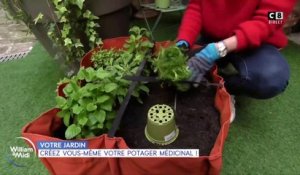 Votre jardin : Créez vous-même votre potager  médicinal !