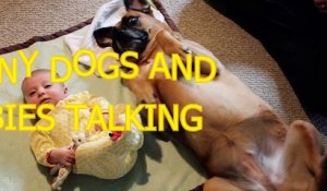 Funny dogs and babies talking - Cute dog & baby compilation