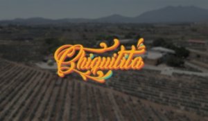 Banda Los Recoditos - Chiquitita