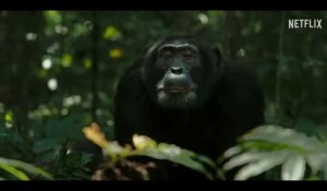 L'empire des chimpanzés (bande-annonce Netflix)
