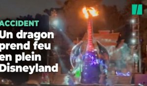 En plein spectacle, un dragon prend feu à Disneyland