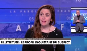 Fillette tuée dans les Vosges : le profil inquiétant du suspect