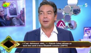 « C’est clairement ciblé… » : Patrick Cohen adresse un  tacle bien senti à Anne-Élisabeth Lemoine (Z