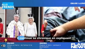 "Une star française compare Charles III et Camilla Parker à Cendrillon et Dumbo sur une station populaire !"