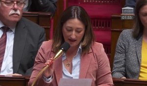 Francesca Pasquani, député écologiste-Nupes sur la manifestation d'ultradroite: "Ce n'est pas parce que l'ennemi est silencieux et marche au pas sans déborder qu'il n'est pas dangereux"