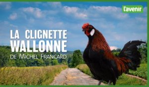 La clignette wallonne de Michel Francard 26-05