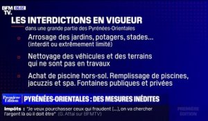 Sécheresse: la majorité des Pyrénées-Orientales bascule en situation de "crise"