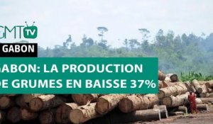 [#Reportage] #Gabon: la production de grumes en baisse 37%