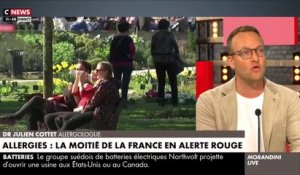 Allergies: La moitié de la France a été placée en alerte rouge par le Réseau National de Surveillance Aérobiologique - Les explications d'un allergologue dans "Morandini Live" - VIDEO