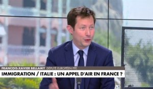 François-Xavier Bellamy : «Ses élus [d'Emmanuel Macron] au Parlement européen font tout pour empêcher que l'Europe ne se protège contre l'immigration illégale»