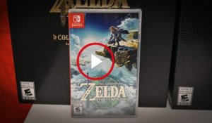 «Zelda : Tears of the Kingdom», la première réaction de notre journaliste spécialiste des jeux vidéo