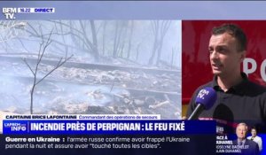 Pyrénées-Orientales: un incendie fixé près de Perpignan