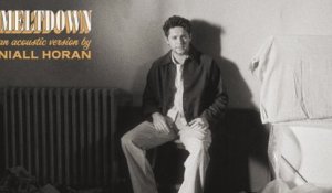 Niall Horan - Meltdown (Acoustic / Audio)