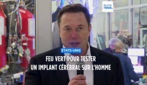 Implants cérébraux sur des humains : Neuralink d'Elon Musk a le feu vert pour des tests