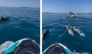Au large de la Côte d'Azur, ce groupe de jet-skis a passé un moment incroyable avec une cinquantaine de dauphins