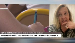 Sophie de Tarlé : «Dans l'académie de Créteil, la différence est de l'ordre de 6 points»